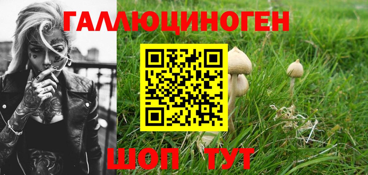 Галлюциногенные грибы мухоморы Долгопрудный