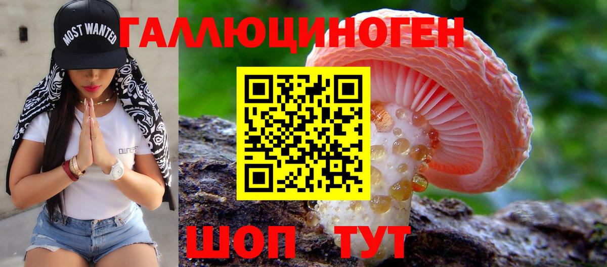 Галлюциногенные грибы мухоморы  наркота  Долгопрудный  Вход с VPN  Псилоцибиновые грибы прущие грибы 